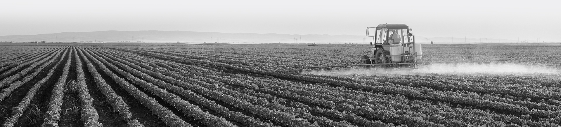 Tractor working the fields